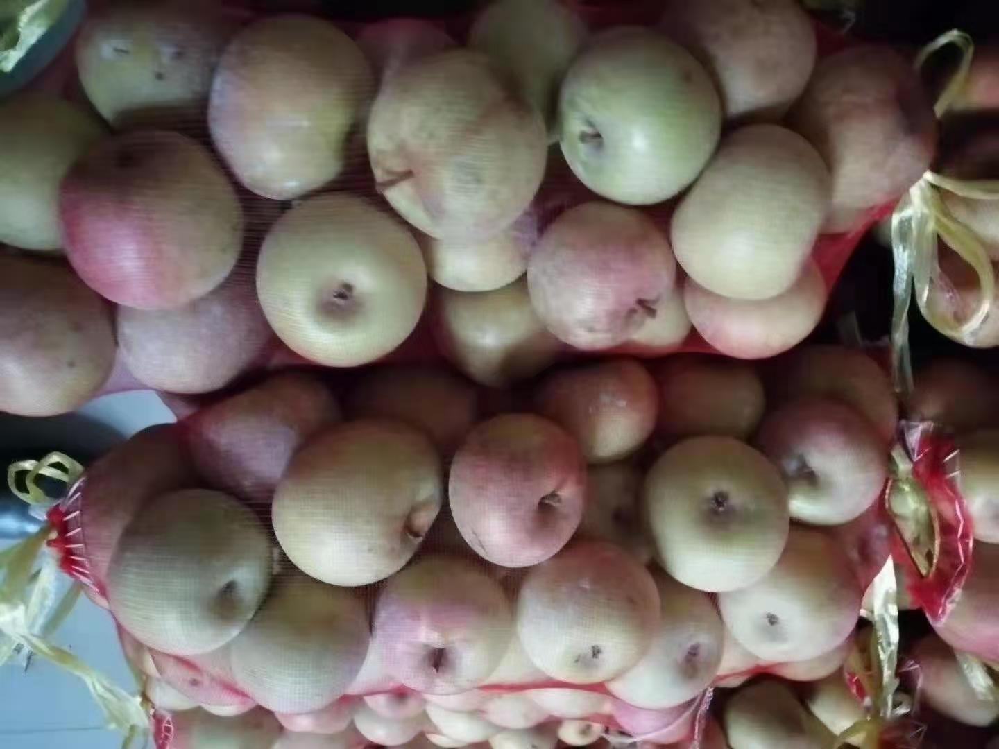 高清近距离拍摄的三个成熟国光苹果并列摆放,展示其典型的扁圆外形、黄绿底色与紫红晕染条纹,果皮光滑有光泽,果蒂清晰完整,背景为木质砧板,营造自然农产品氛围 成熟国光苹果特写展示果形与色泽