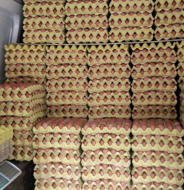 西安市鲜鸡蛋批发配送需要的下单