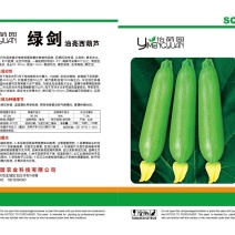 油亮型西葫芦种子接受订单