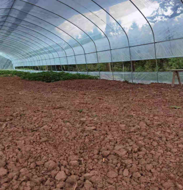 家用蔬菜养殖种植温室简易大棚保温大棚骨架草莓大棚全套大棚