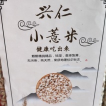 贵州小薏仁米贵州特产荣获世界最高标实。