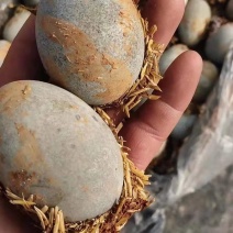 糖心无铅微山湖松花蛋