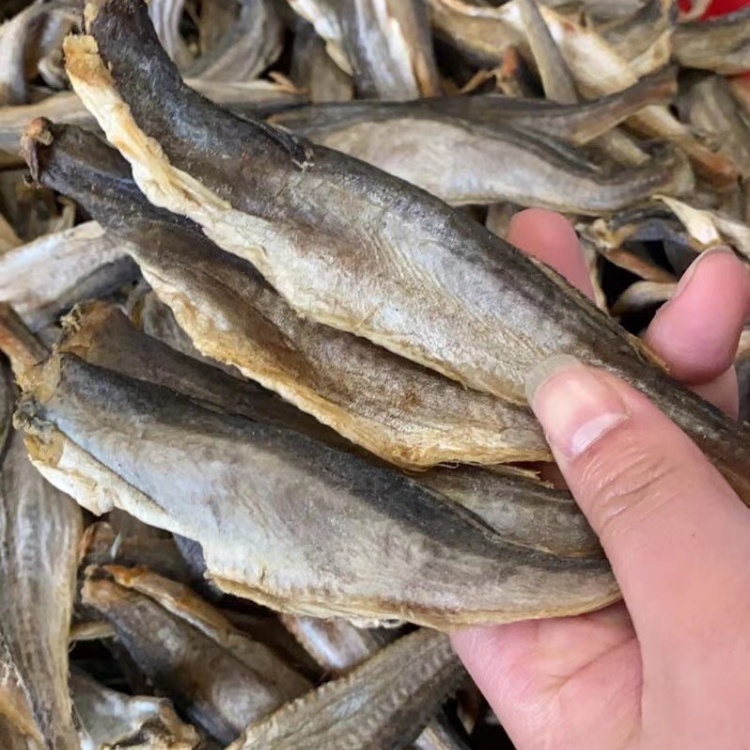 [龙鱼批发]全干小龙鱼,一手货源,价格实惠价格8.50元/个 - 一亩田
