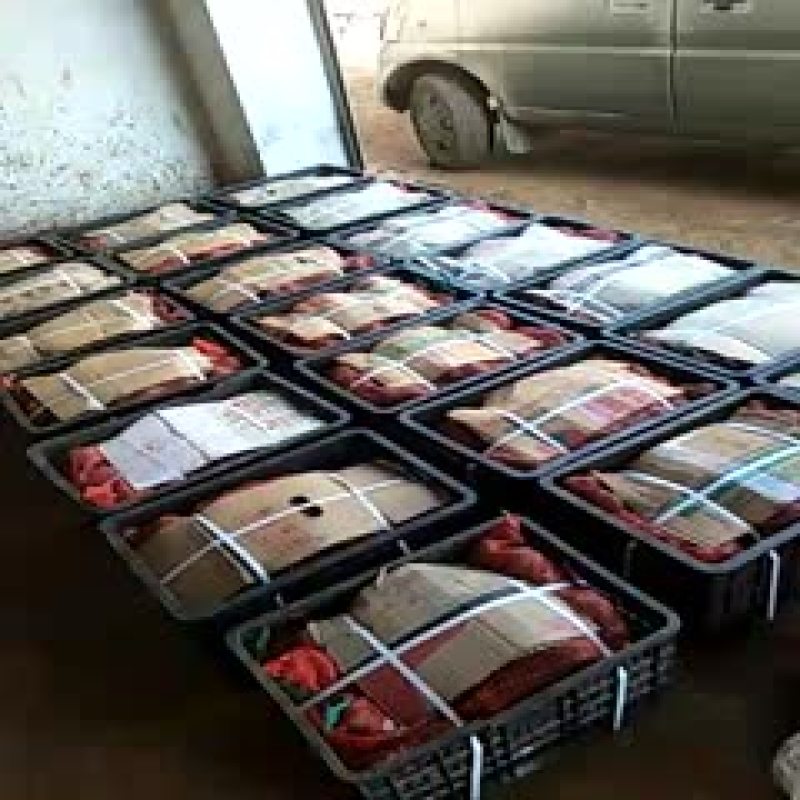 云南曲靖富源县魔芋种子 5