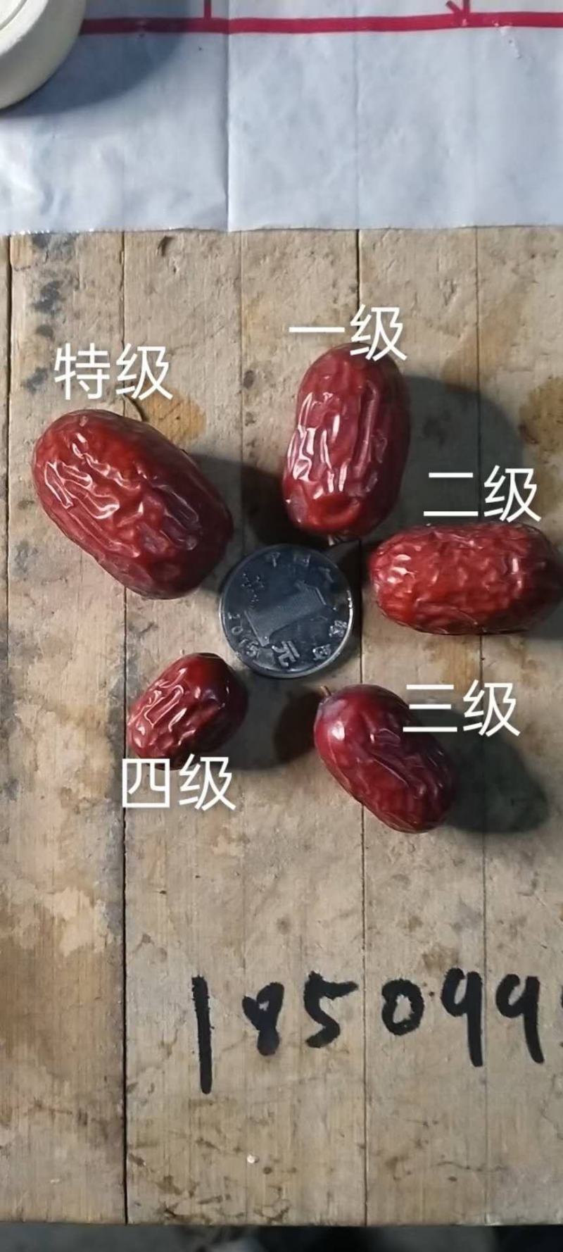 阿克苏沙雅县十大特产图片