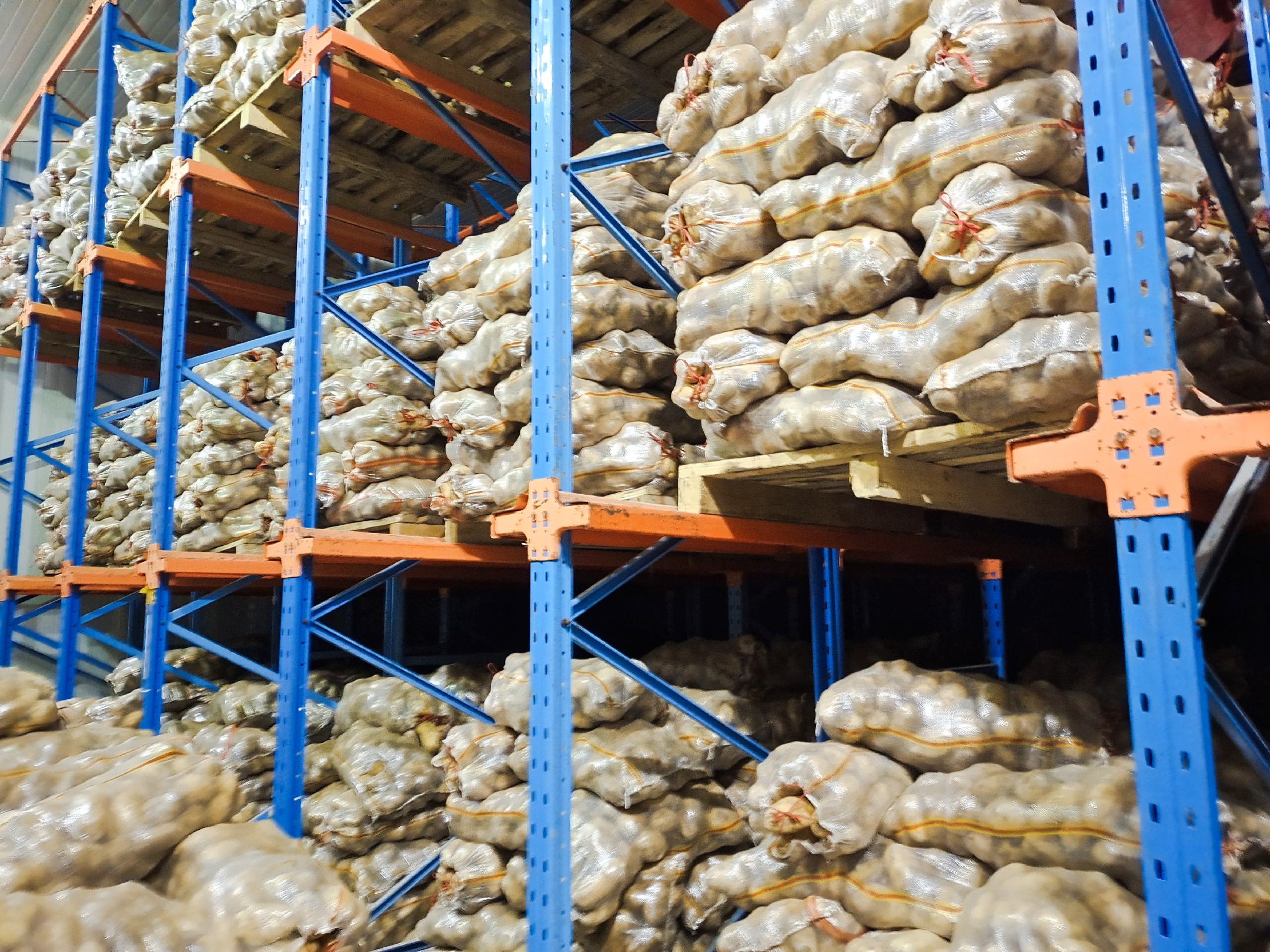 226土豆的现代化仓储中心