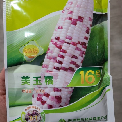 江西甜糯玉米种子价格行情走势 - 一亩田