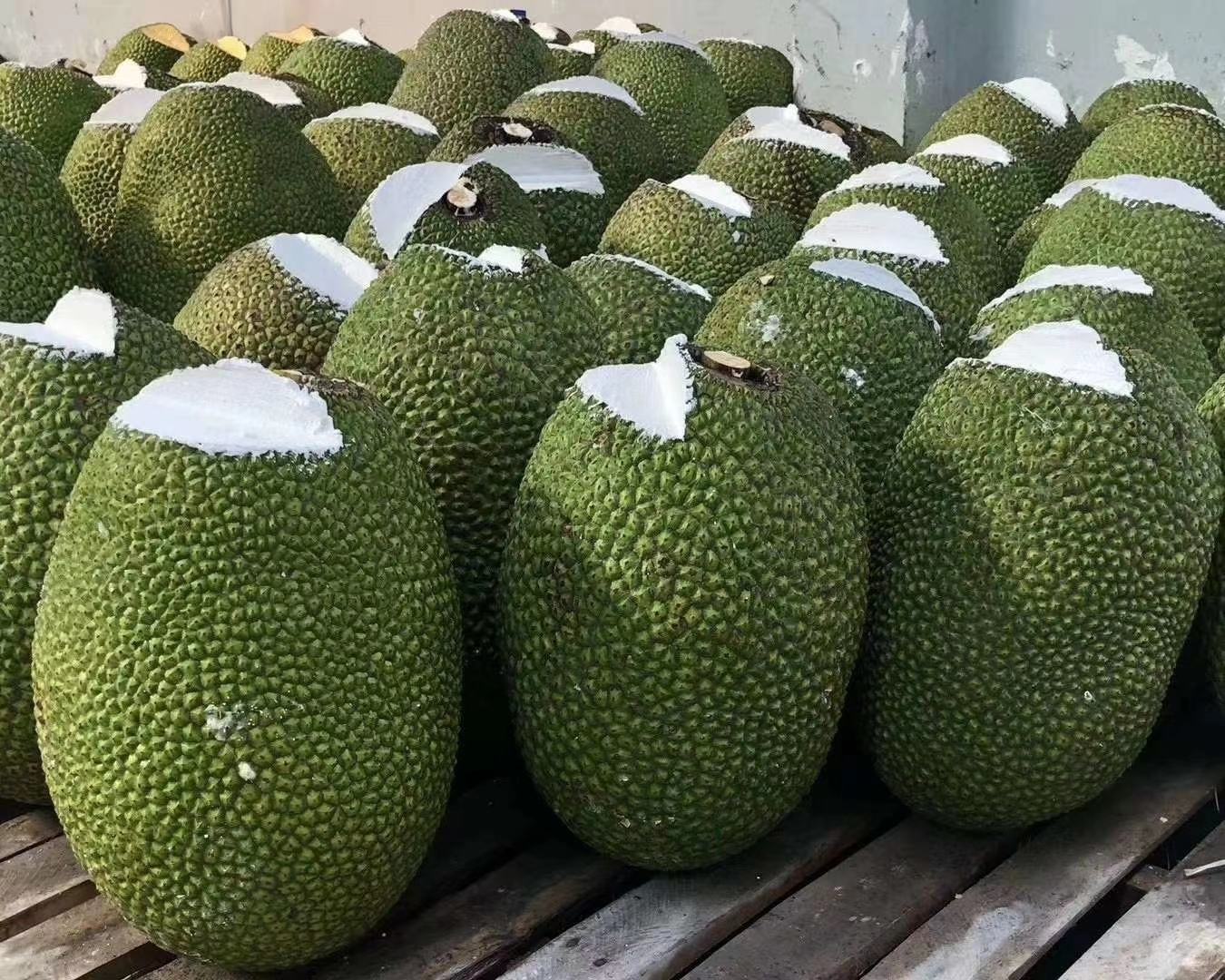 [菠萝蜜批发]批发越南脆甜菠萝蜜批发边境口岸直供一首货源价格4.