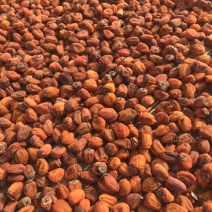 山东优质大量红饼霜饼专业合作社各种包装一件代发各种规格