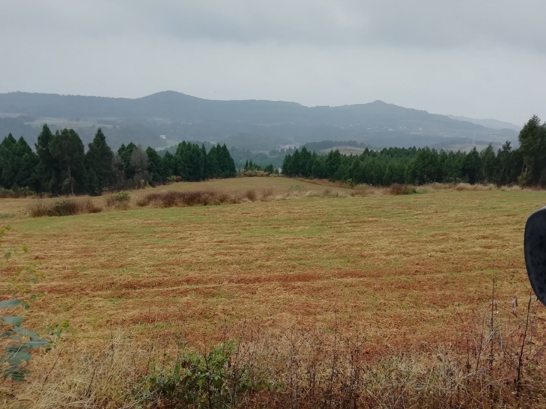 航拍视角下的河南焦作温县秋季熟地黄种植基地,可见典型的垆土质地农田,土壤呈深褐色,结构疏松,田间整齐排列着正在晾晒的熟地黄切片,远处有农民在进行翻晒作业,背景为秋日晴朗天空 温县垆土地貌与熟地黄种植田