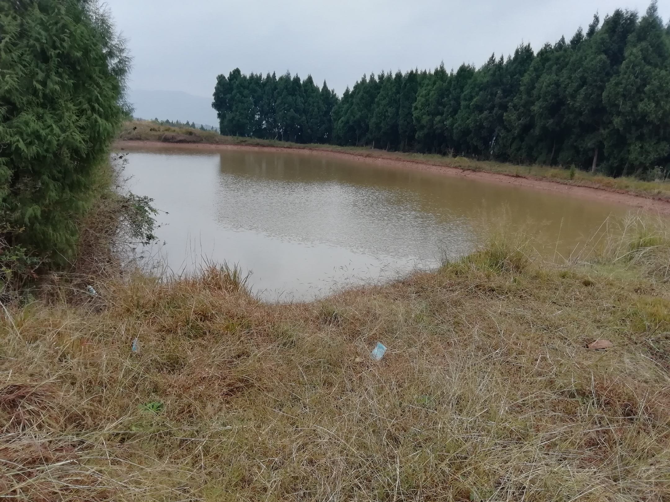 传统九蒸九晒熟地黄加工过程示意图