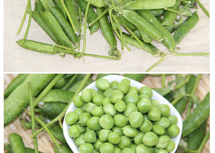 蒜香味的青豌豆食材展示