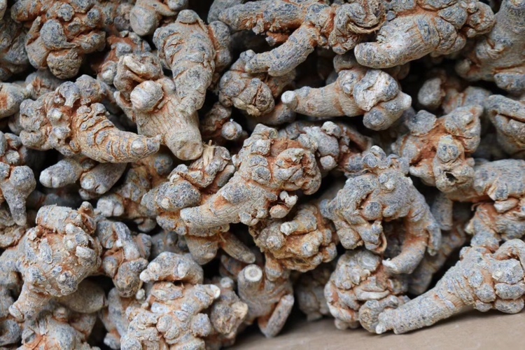 青少年运动后使用三七外敷处理扭伤脚踝