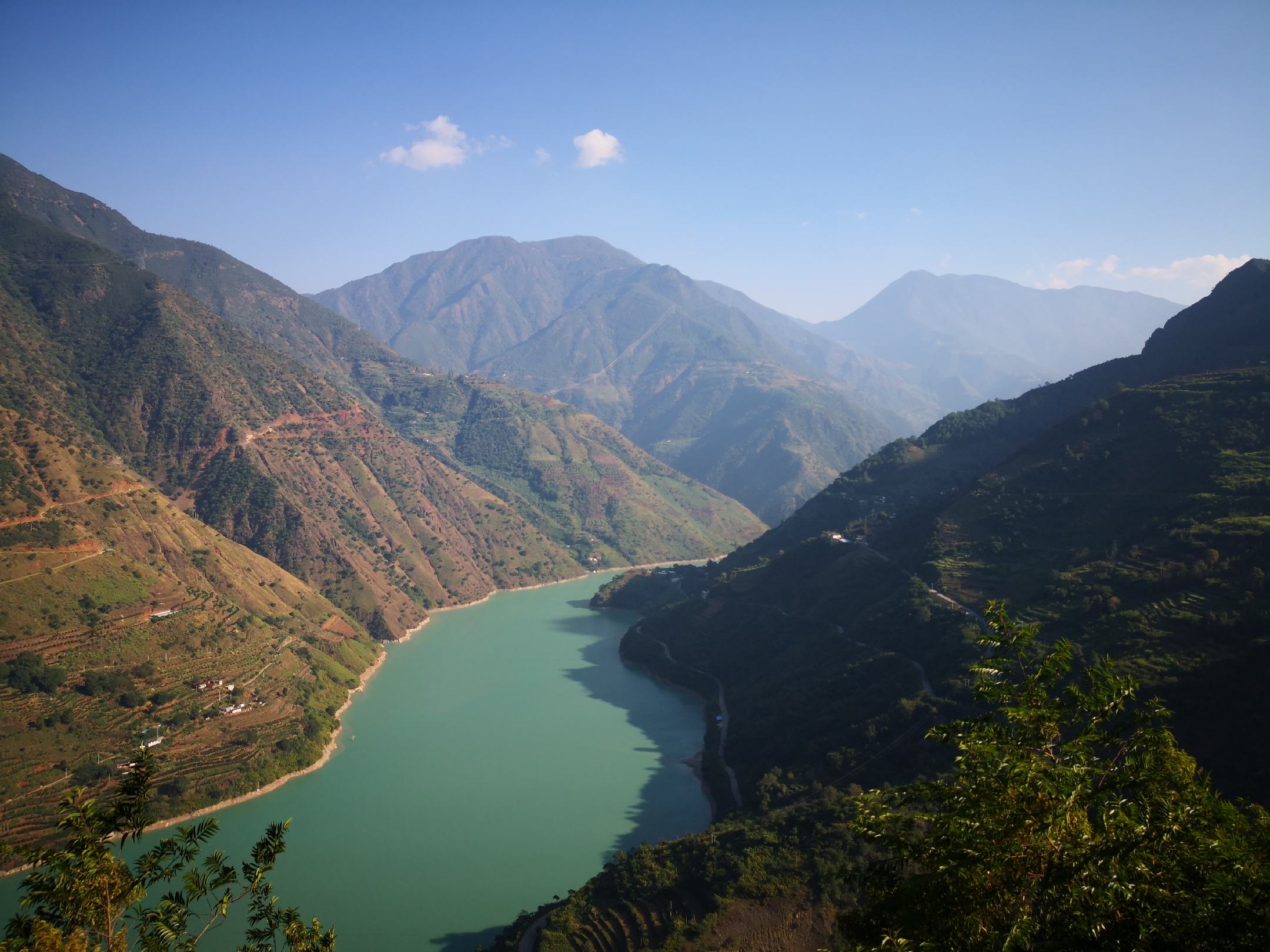 一片阳光充足的山坡果园,成排的不知火柑桔树挂满橙红色果实,枝条因果实重量微微下垂,叶片翠绿有光泽,地面覆盖着自然生长的草本植物,体现生态种植理念 果园中的不知火柑桔树