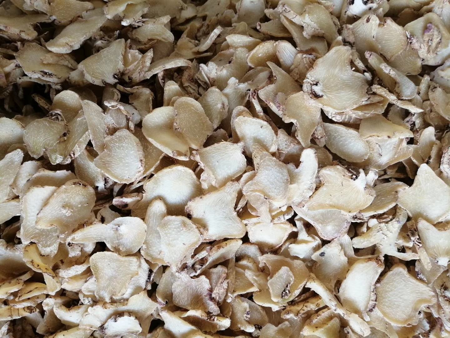 白及种植加工大货欢迎各位新老客户联系