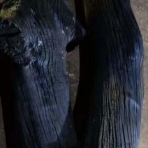 石山，原木炭，铁木炭，不带皮，规格统一
