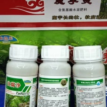 魔芋专用汰腐净种植魔芋必用种子消毒杀菌出苗治病抗病