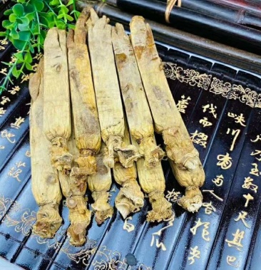 高丽参黄皮 批发新货微潮无糖 黄马褂 包邮 不满意包退!