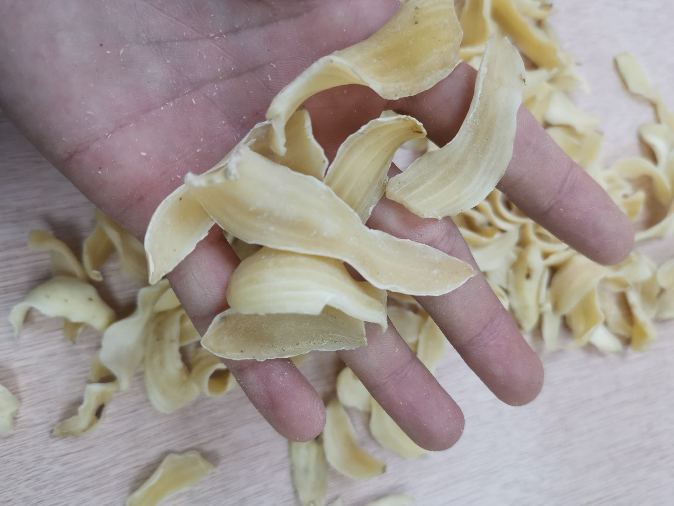 手部特写：一双女性的手正将干百合瓣轻轻放入白瓷碗中，左手腕戴素银细镯，右手捏着三片完整鳞瓣，背景为柔焦的窗边晨光与一盆盛放的白色百合鲜切花