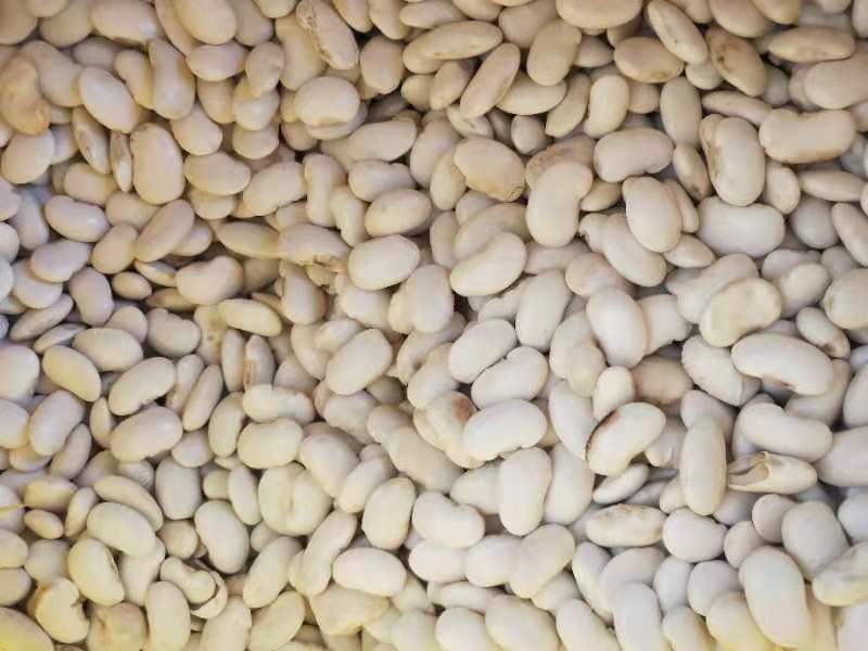 白扁豆食谱示意图