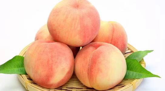 紫叶冬桃摆放在果篮中,展示其整体外观与色泽 紫叶冬桃果篮展示图