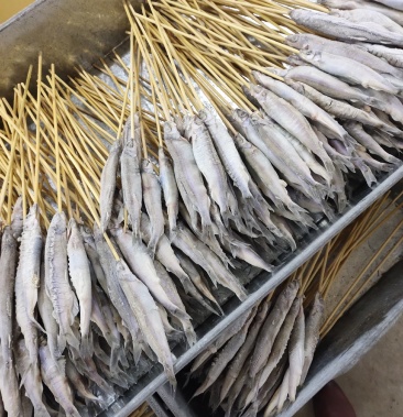 多春鱼串串06元一串