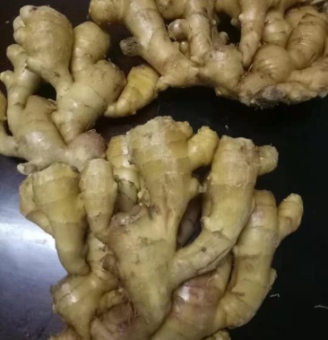大姜黄姜生姜水洗姜平度大姜