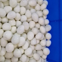 去皮鹌鹑蛋去皮鹌鹑蛋鹌鹑蛋鹌鹑蛋