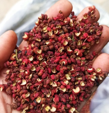 大红袍黄盖花椒狮子头花椒好品质好,麻味足.