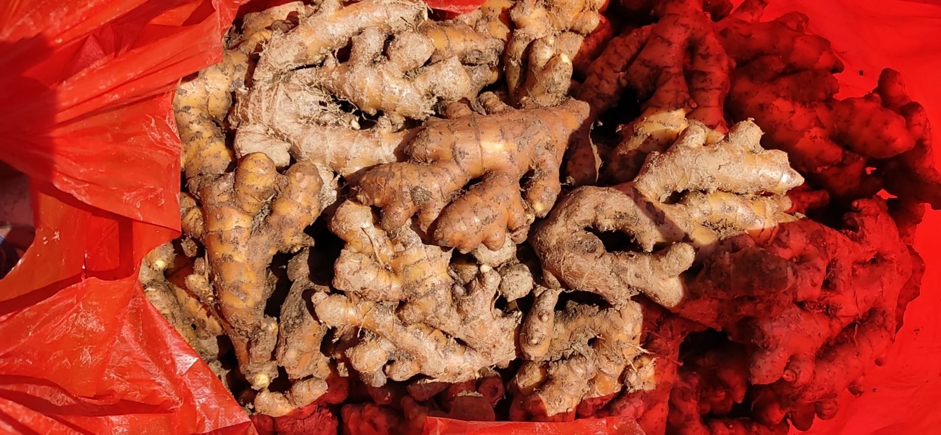 传统姜母鸭制作过程中的姜母煸炒特写