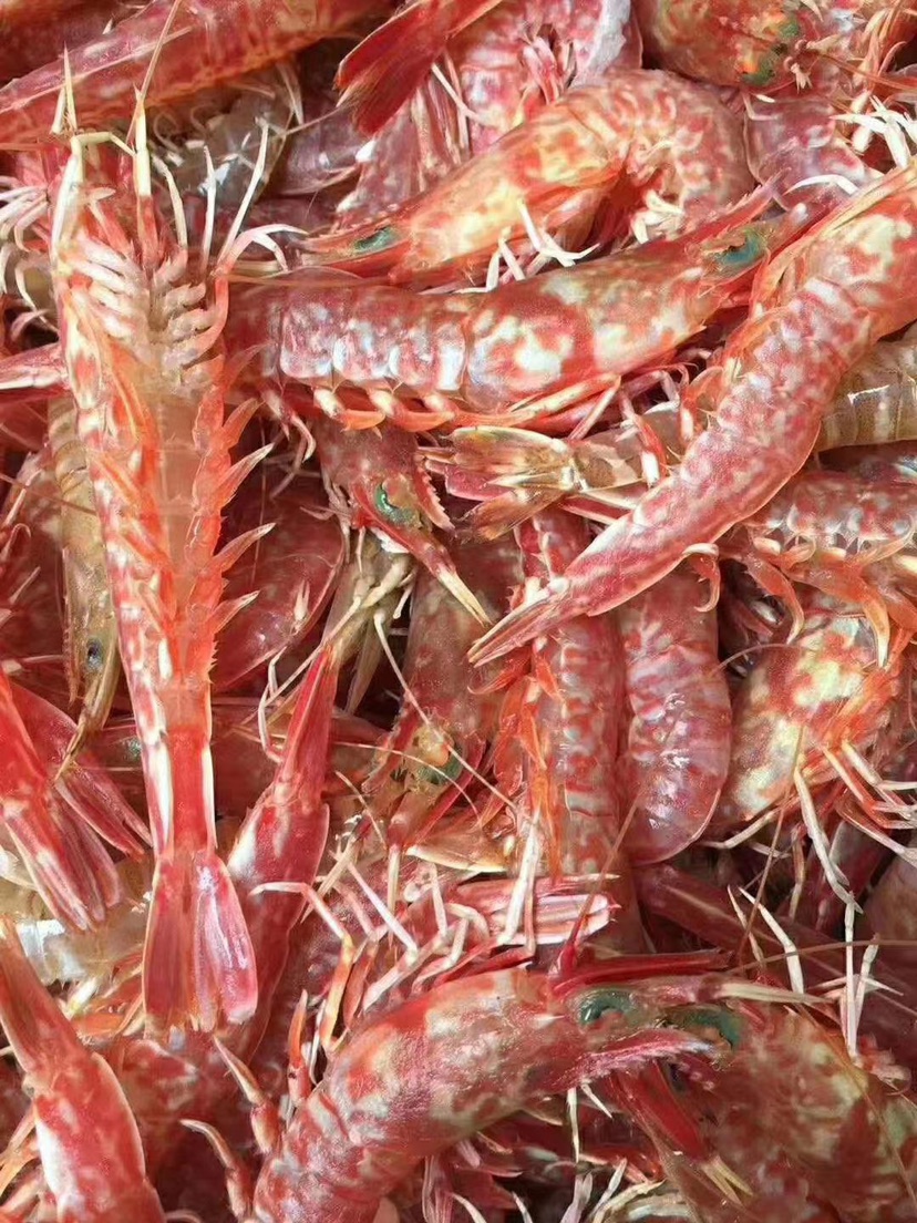 一件代发:福建东山岛深海樱花虾