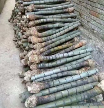 烟筒竹,老楠竹,老竹兜,三年以上竹,够老够靓