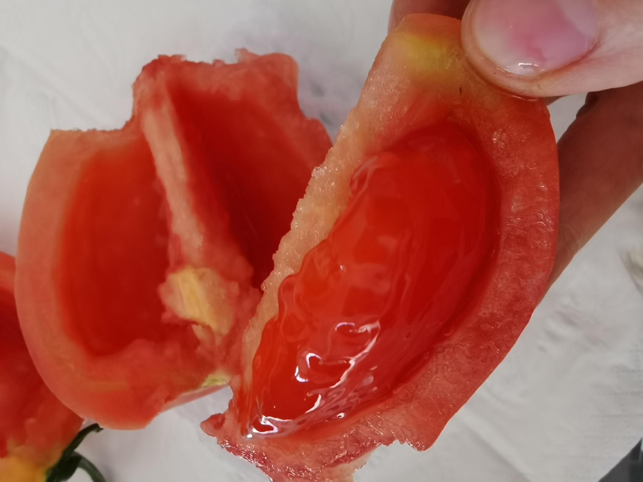 普罗旺斯西红柿切面图,展示其果肉饱满、汁水丰富的特点 普罗旺斯西红柿切片展示果肉质地