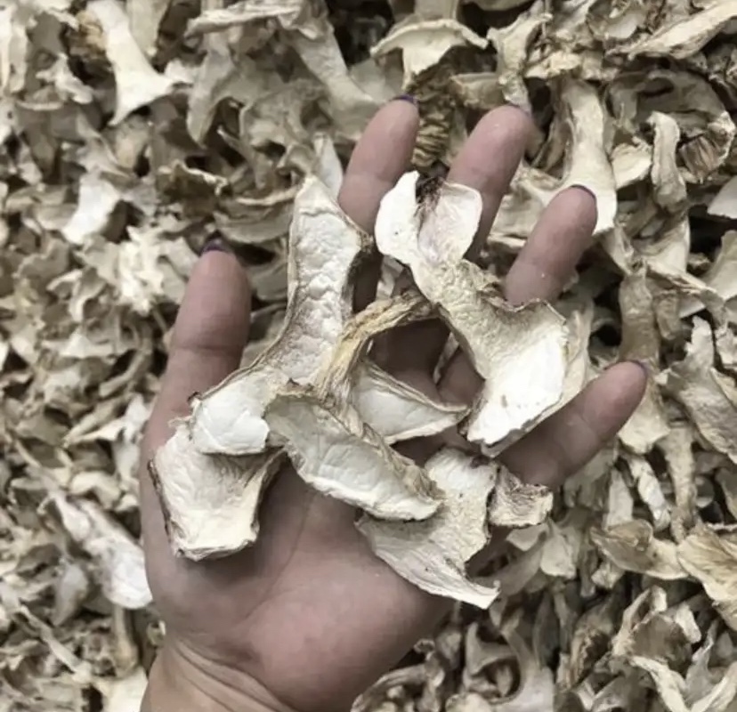 松茸去沙清洗过程