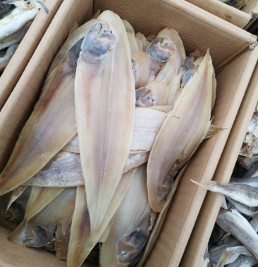 大塔米鱼～舌头鱼～没有碎刺一件代发～七八成干度