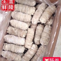 冷冻生鲜猪小肠卷肠衣扎肠枯肠卤菜店半成品20斤/箱江浙沪