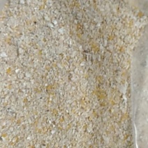 玉米次粉，价格美丽，质量保证
