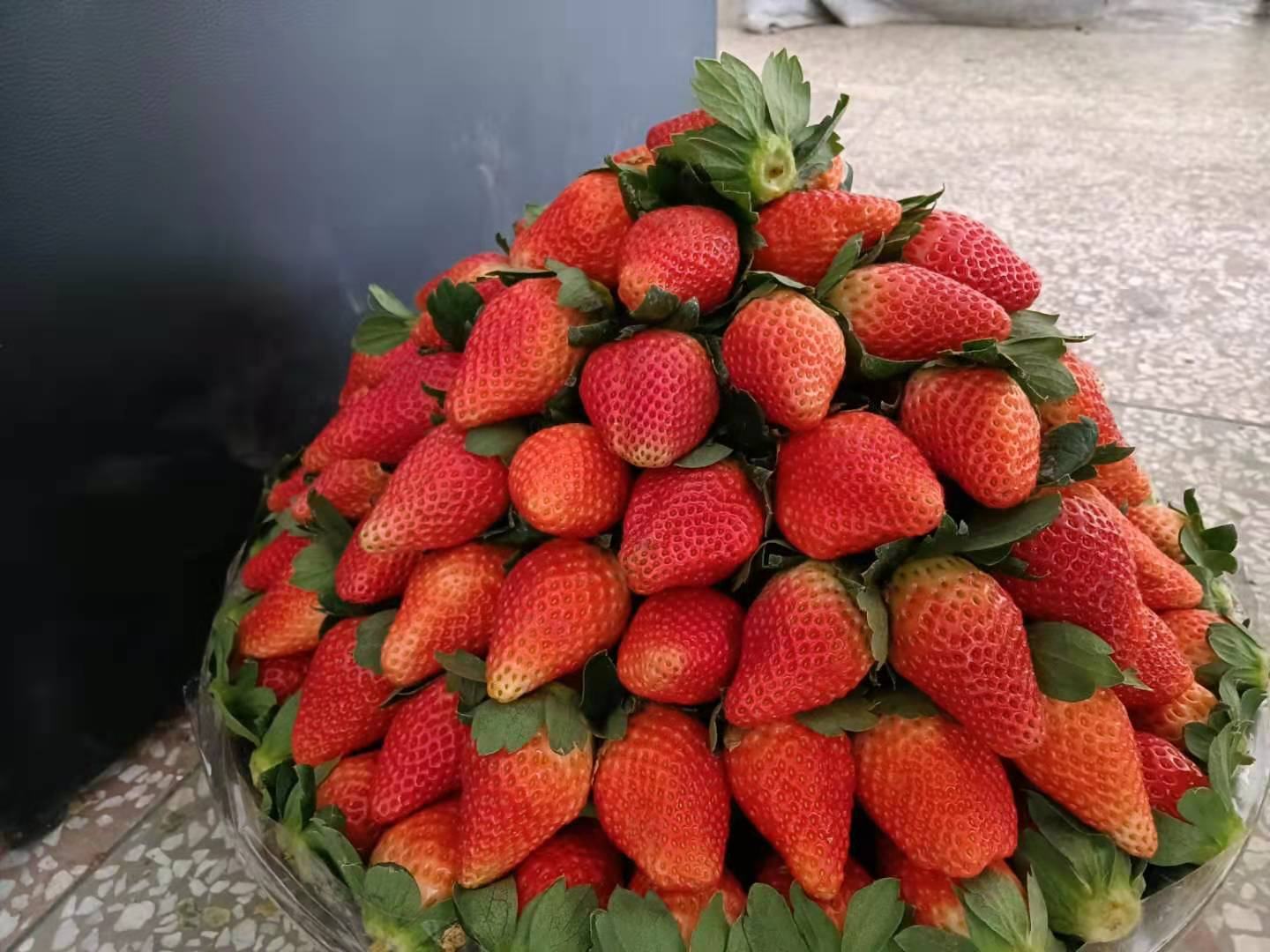 成品草莓奶油塔全景图