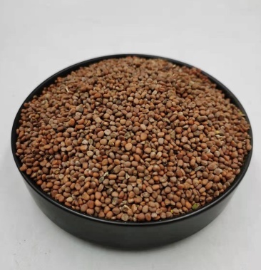 中药材莱菔子山东萝卜子萝白子零售批发