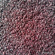 云南本地人工精选大颗粒红腰豆