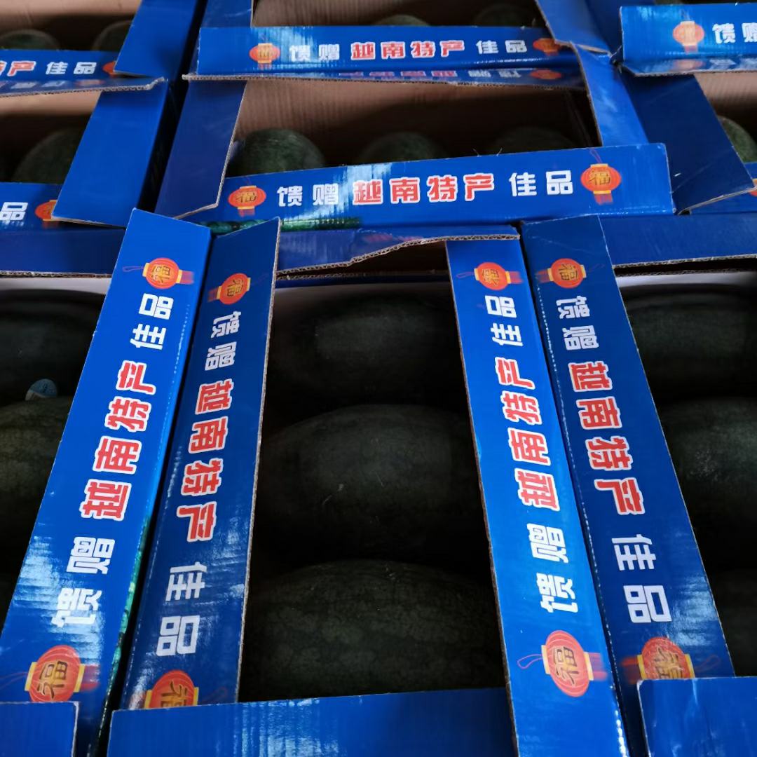 [黑美人西瓜批发]产地直销黑美人西瓜.配货便利.