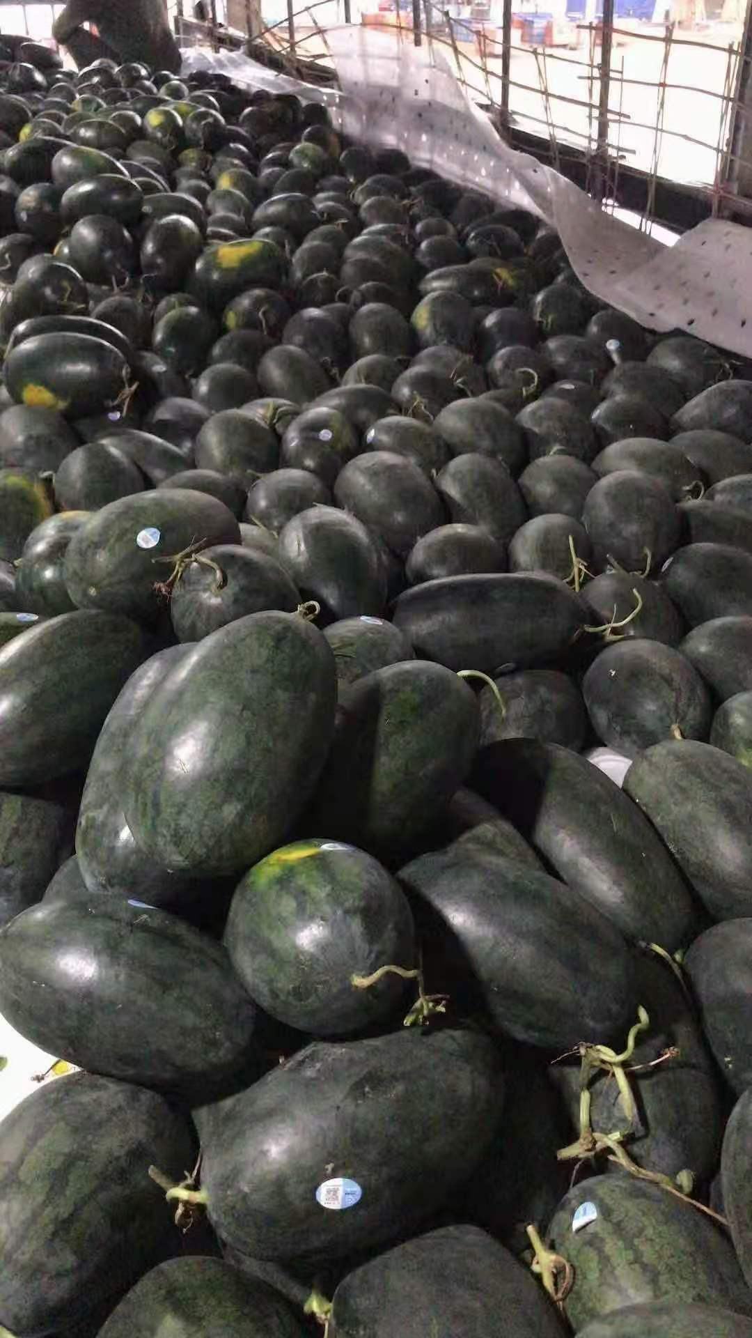 [黑美人西瓜批发]产地直销黑美人西瓜.配货便利.