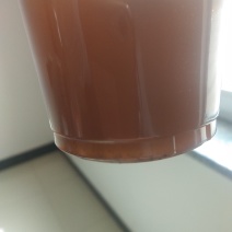 河北小颗粒高芥酸油菜籽