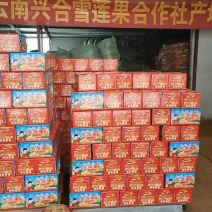 云南雪莲果主产区合作社直供市场精品大长果中长果电商一件代