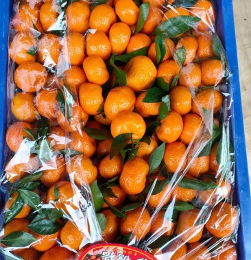 [沙糖桔批发]精品广西桂林砂糖橘口感鲜美价格1.50元/斤 - 一亩田