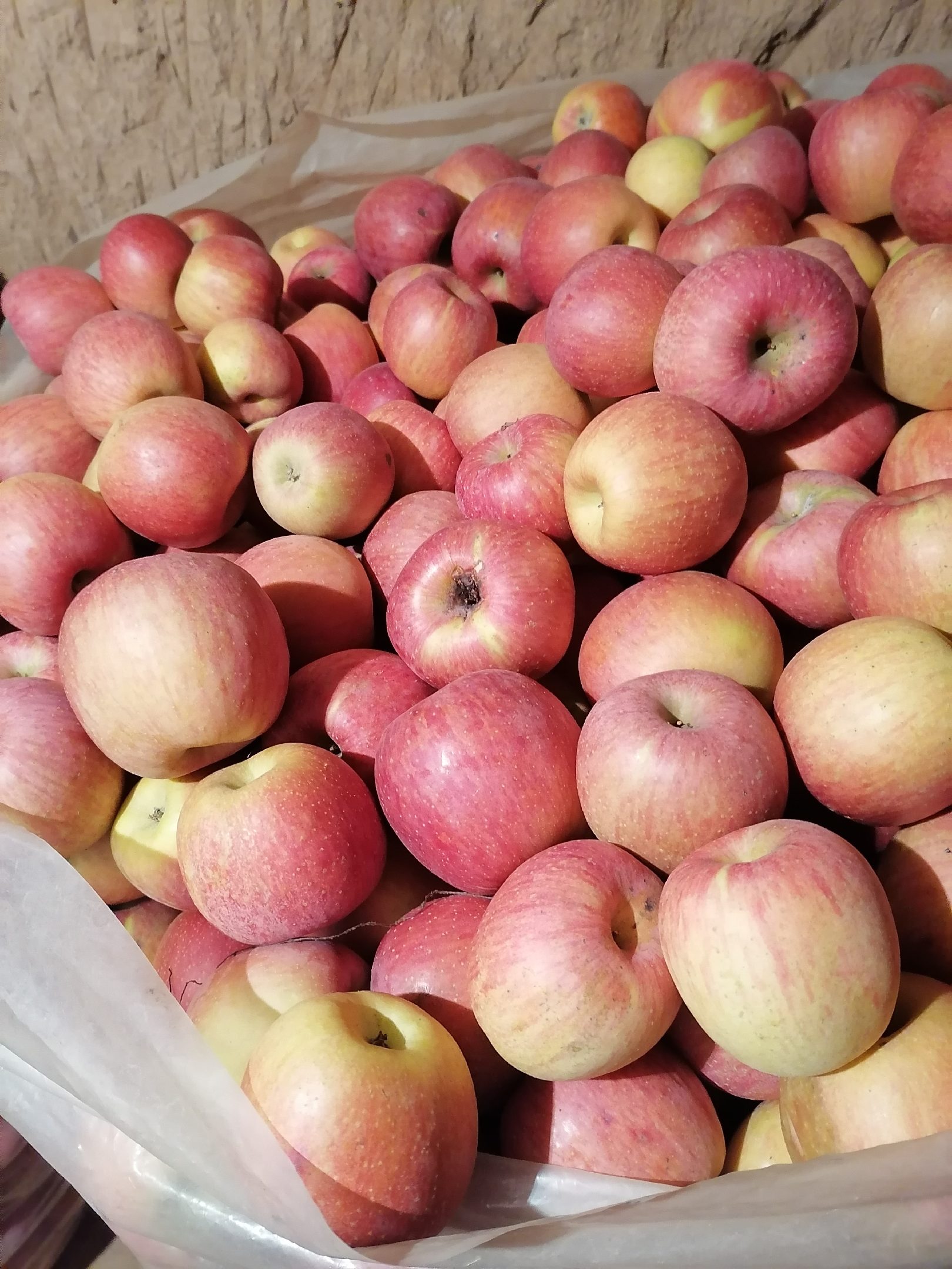 [红富士苹果批发]灵宝寺河山光果大量现货,果质硬度好,口感脆甜!