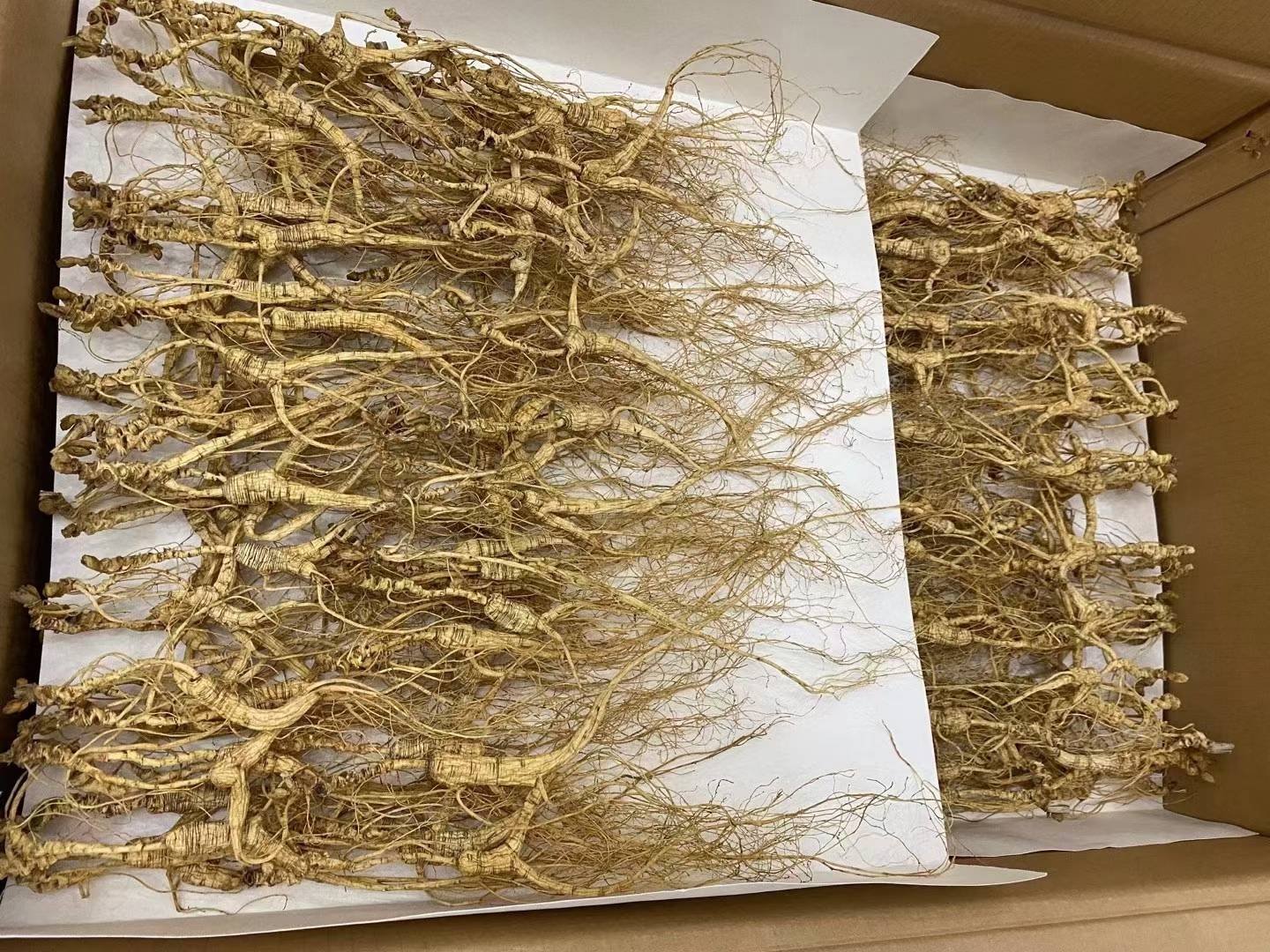 人参品质对比图