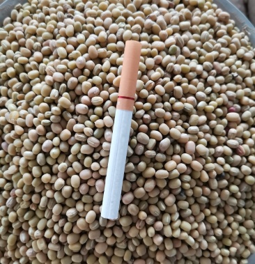 白小豆杂粮红芸豆