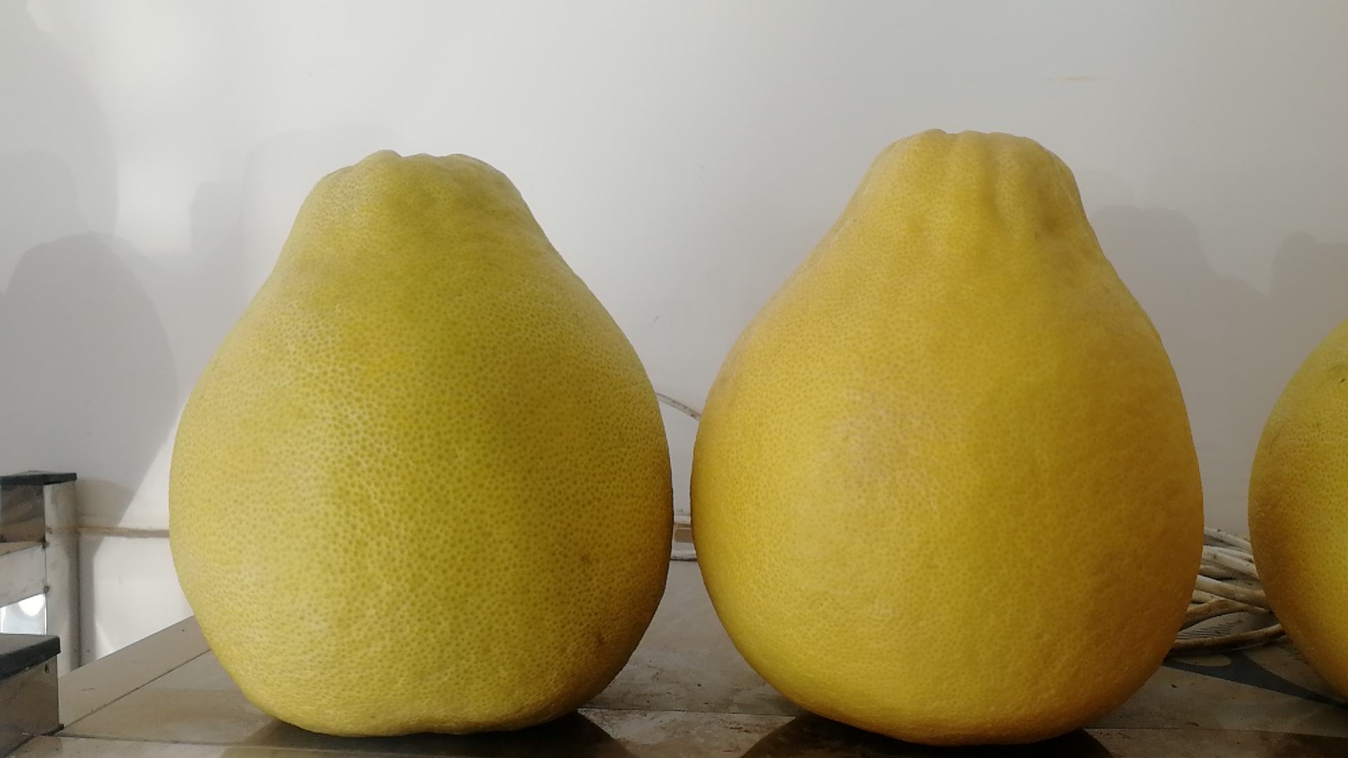 一个成熟的沙田柚静置于木质桌面上,果实呈标准梨形,果皮为明亮的橙黄色,表面光滑有蜡质光泽,顶部带有少量叶片,背景为自然光下的田园环境 沙田柚整果特写