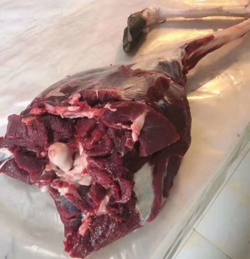 [梅花鹿肉批发]东北梅花鹿鹿腿带鹿蹄子带骨头速冻7-20斤吉林鹿乡价格